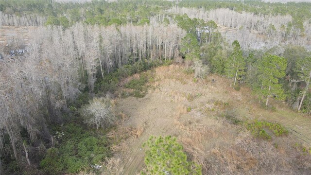 00 E Osceola Rd, Geneva, FL 32732 - photo 9