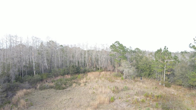 00 E Osceola Rd, Geneva, FL 32732 - photo 10