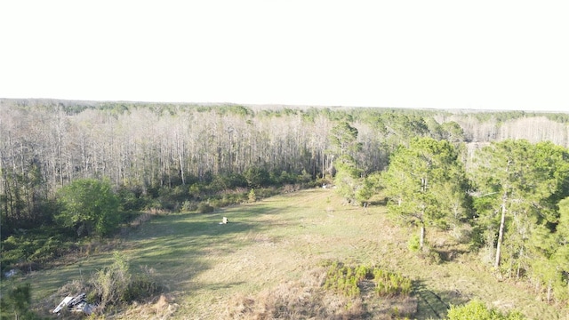 00 E Osceola Rd, Geneva, FL 32732 - photo 11