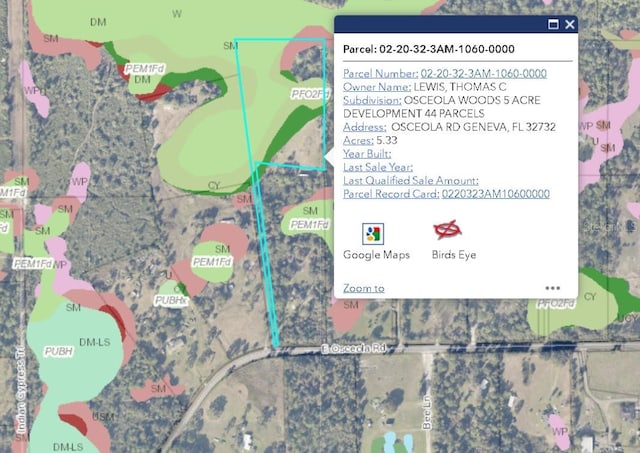 00 E Osceola Rd, Geneva, FL 32732 - photo 12