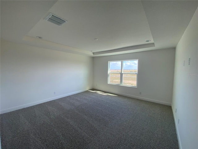 spare room with a raised ceiling and carpet flooring