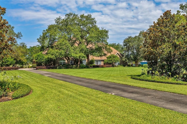 exterior space featuring a yard