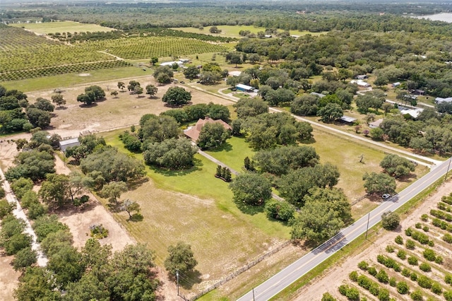 drone / aerial view featuring a rural view