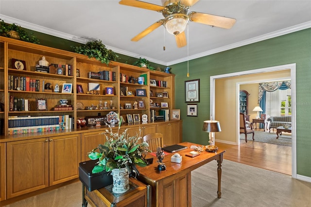 office featuring crown molding, ceiling fan, and light wood-type flooring