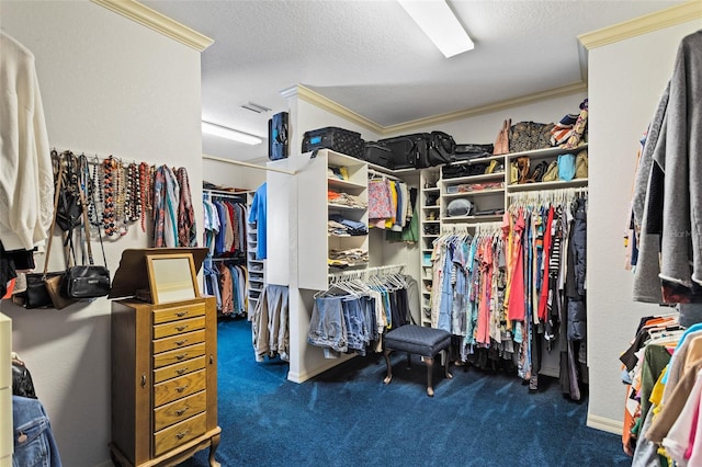 spacious closet with dark colored carpet