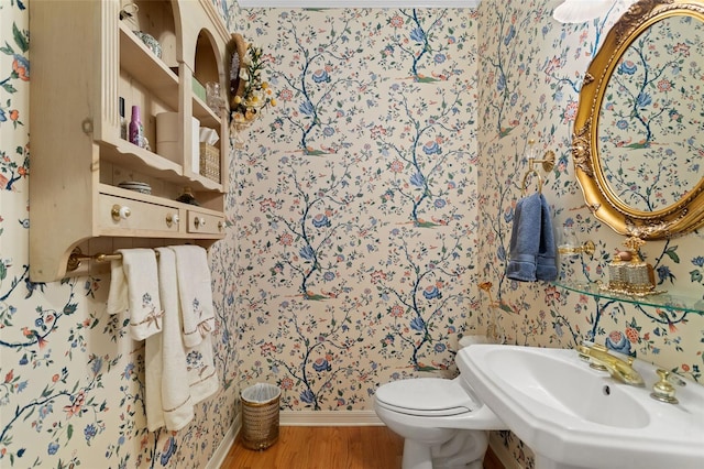 bathroom with toilet, wood-type flooring, and sink