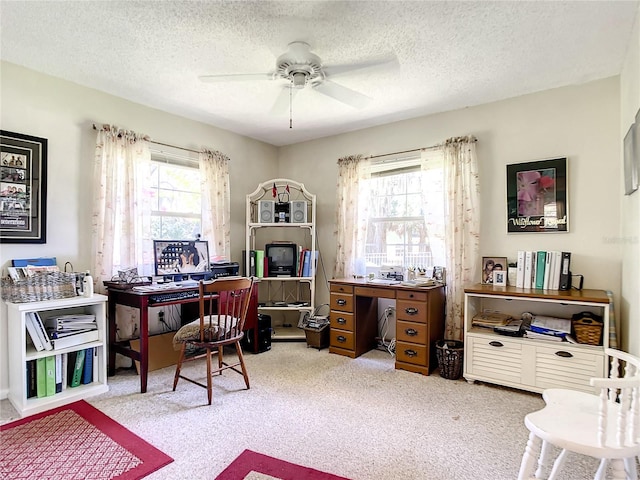 carpeted office featuring a textured ceiling, ceiling fan, and a wealth of natural light