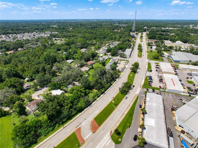 view of bird's eye view