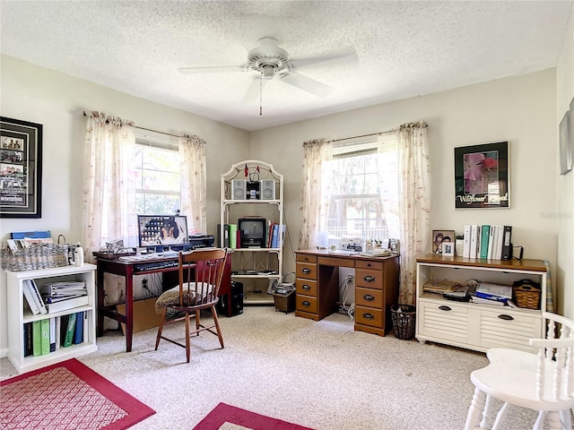 966 N Ronald Reagan Blvd, Longwood, FL 32750 - home office featuring a ceiling fan, carpet, and a textured ceiling