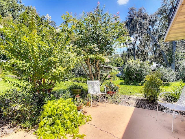 966 N Ronald Reagan Blvd, Longwood, FL 32750 - view of patio / terrace