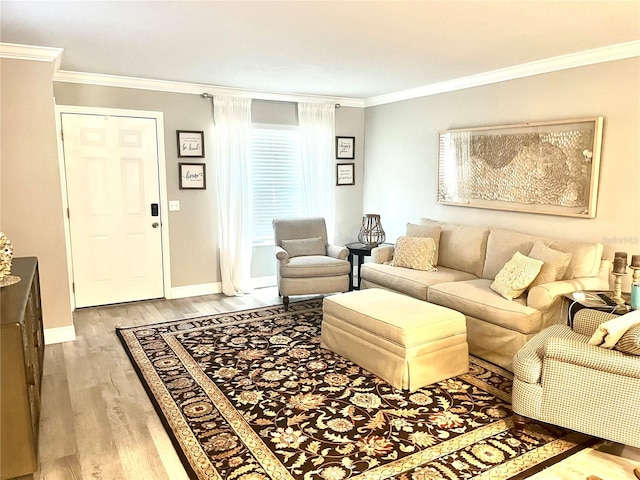 living room featuring light wood-type flooring and crown molding