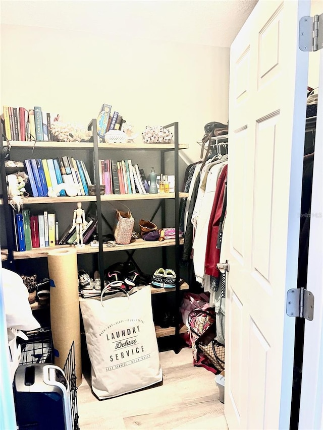 view of walk in closet