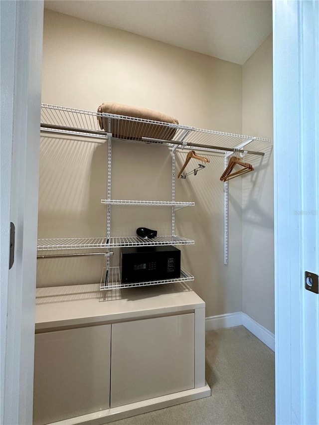 spacious closet with light colored carpet