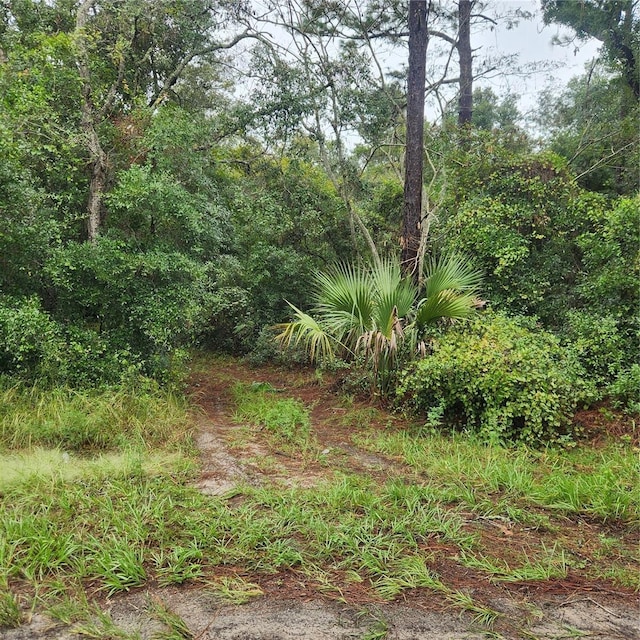 0 Garden St, Deland, FL 32720 - photo 4