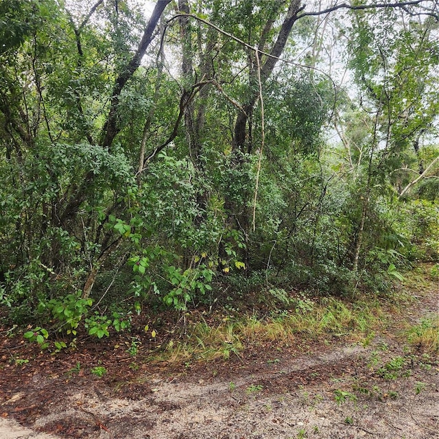 0 Garden St, Deland, FL 32720 - photo 6