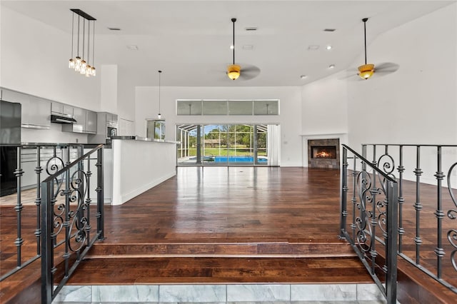 entrance foyer with a high ceiling, dark hardwood / wood-style floors, and ceiling fan