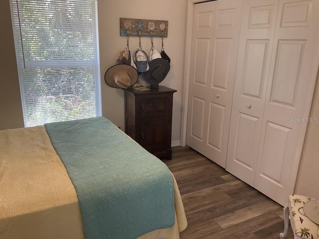 bedroom featuring a closet and dark hardwood / wood-style floors