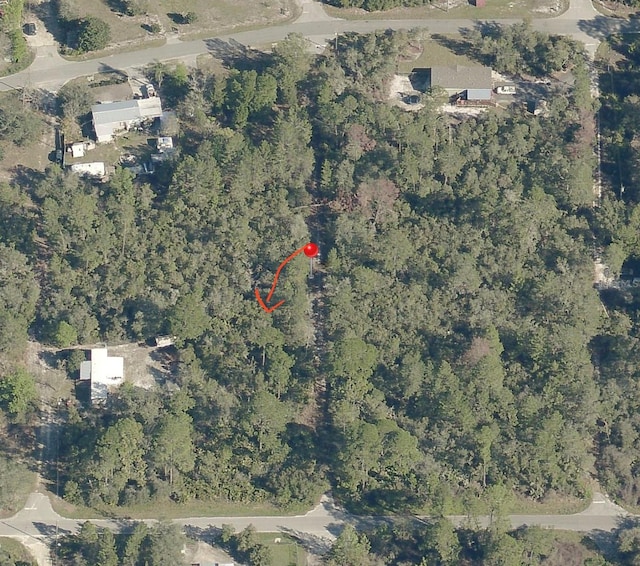 Carolina St, Paisley FL, 32767 land for sale