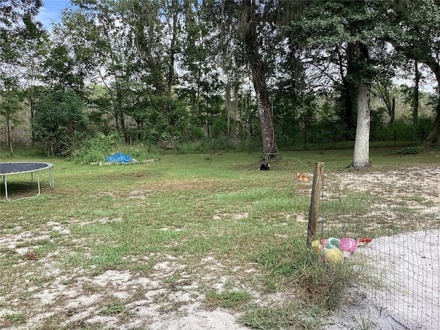 view of yard featuring a trampoline