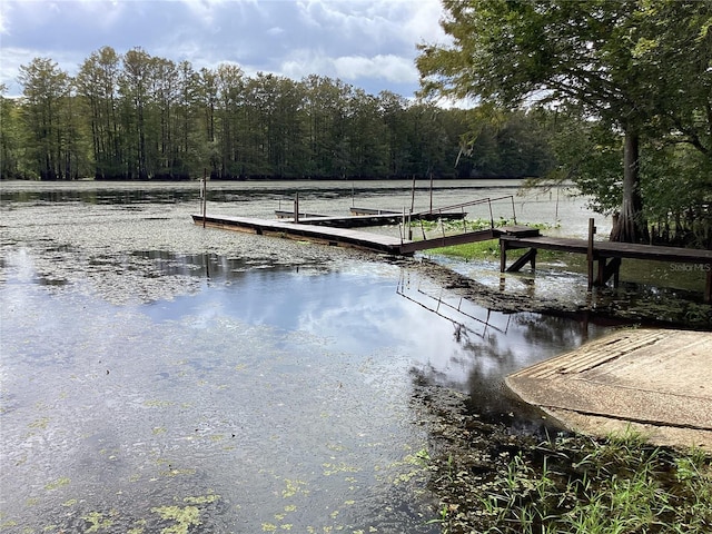 dock area featuring a water view