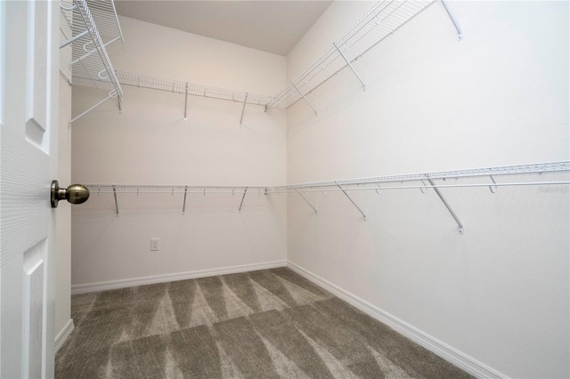 walk in closet with carpet