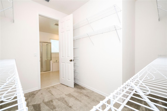 unfurnished bedroom with a closet and carpet floors