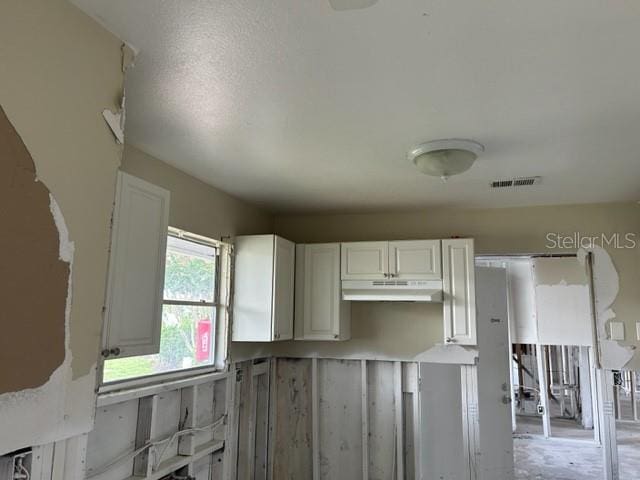 kitchen featuring white cabinetry