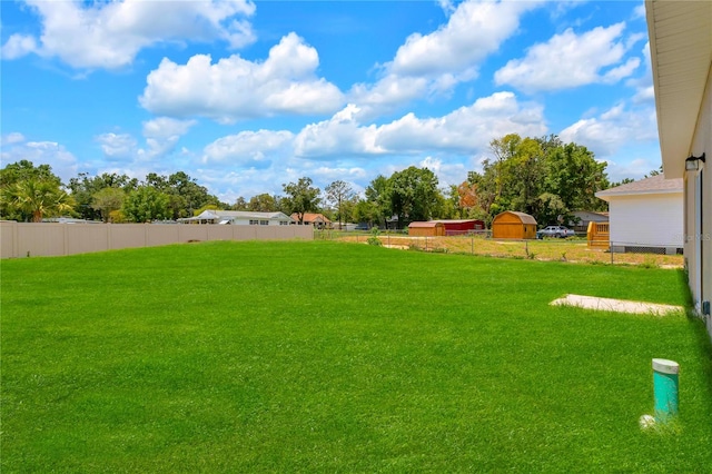 view of yard with a storage shed