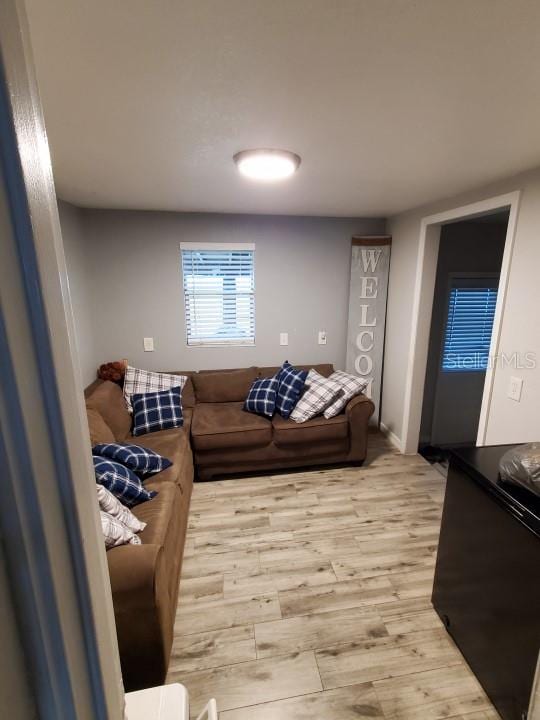 living room with light hardwood / wood-style flooring