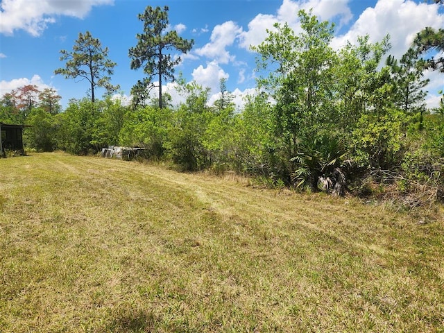 Listing photo 3 for Holopaw Groves Rd, Saint Cloud FL 34771