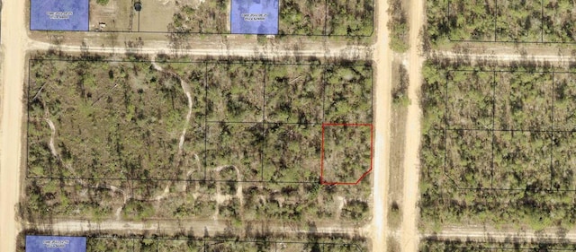 Caravana Blvd, Fountain FL, 32438 land for sale