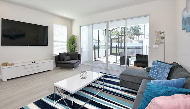 living room featuring light hardwood / wood-style floors