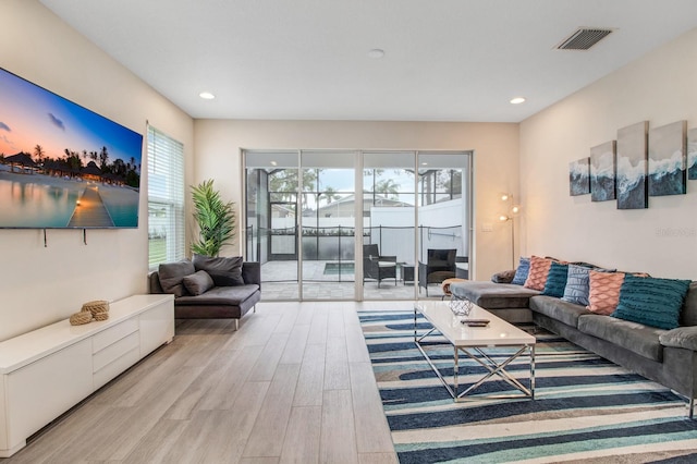 living room featuring light hardwood / wood-style flooring