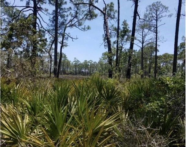 0 SW 100th Pl, Cedar Key FL, 32625 land for sale