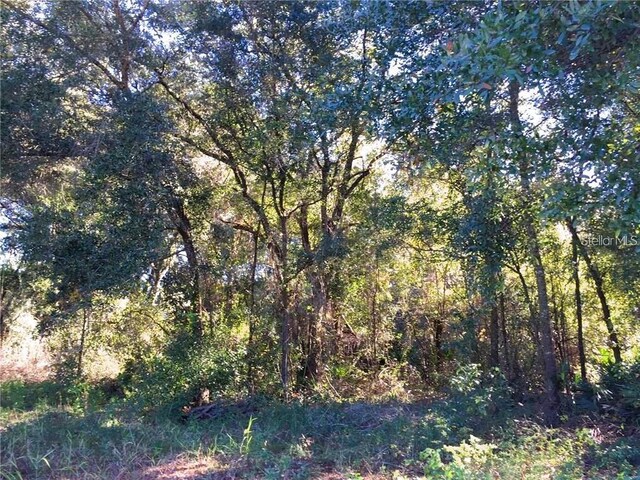 1913 N Dean Rd, Orlando, FL 32817 - photo 11