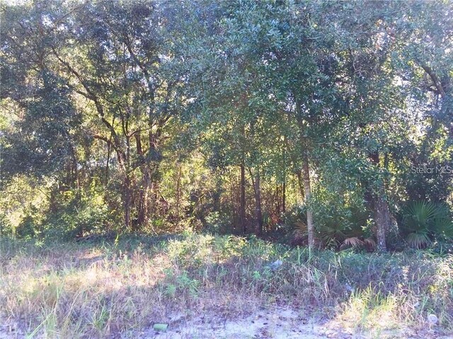 1913 N Dean Rd, Orlando, FL 32817 - photo 10