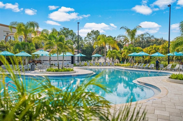 view of pool featuring a patio