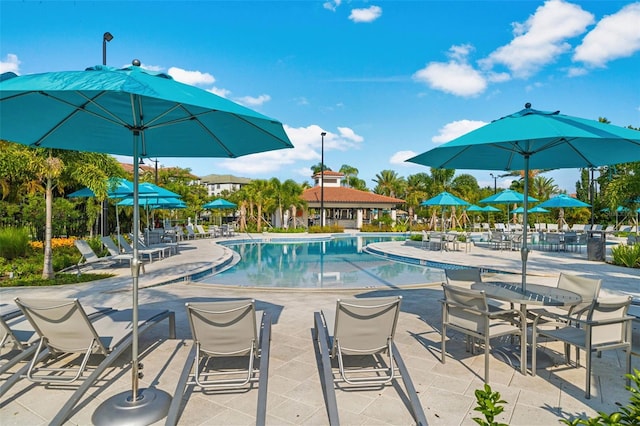 view of swimming pool with a patio area