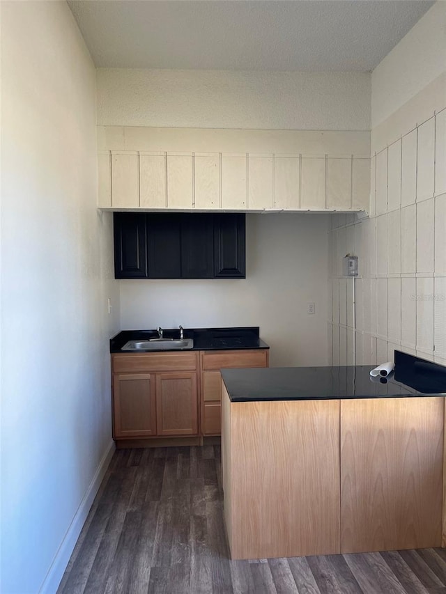 kitchen featuring dark wood-type flooring and sink