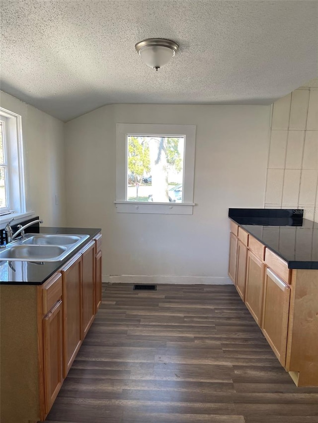 kitchen featuring a textured ceiling, sink, and dark wood-type flooring