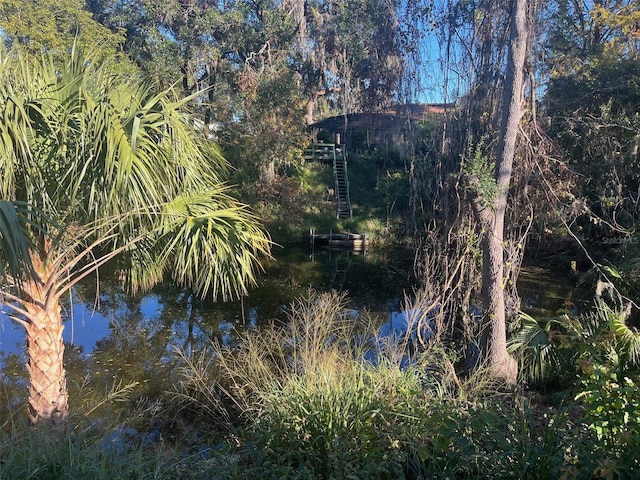 view of landscape featuring a water view