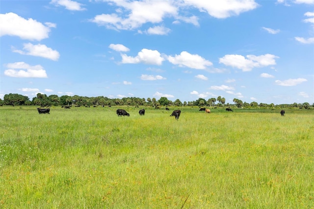 view of nature featuring a rural view