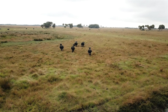 view of nature featuring a rural view