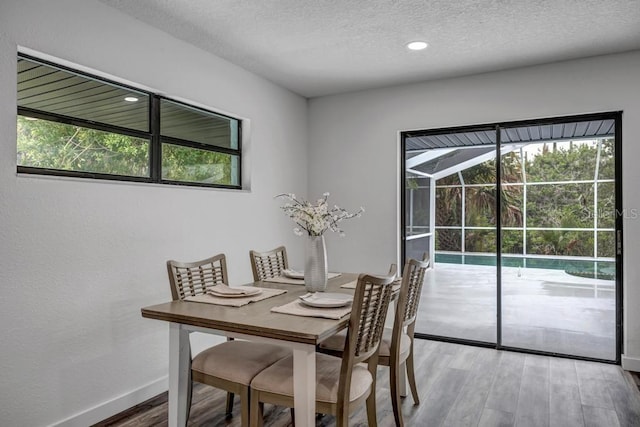 dining room featuring dark hardwood / wood-style flooring, a textured ceiling, and a wealth of natural light