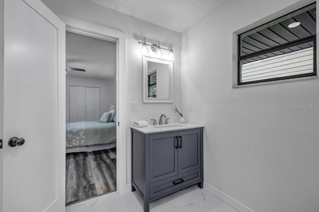 bathroom featuring vanity, ceiling fan, and hardwood / wood-style floors