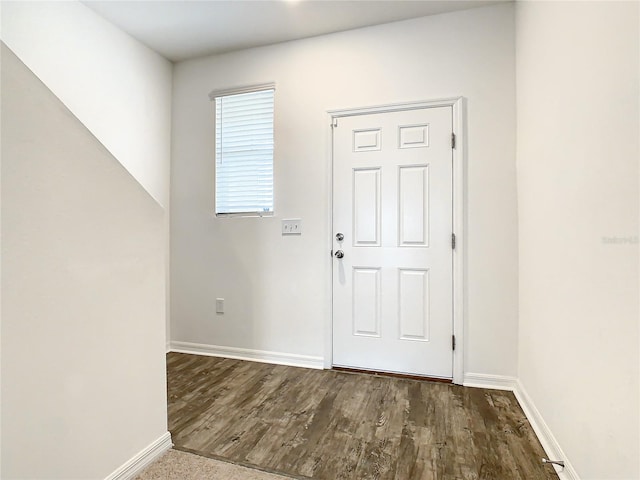 entrance foyer featuring dark wood-type flooring