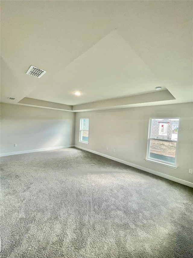 unfurnished room featuring carpet flooring and a raised ceiling