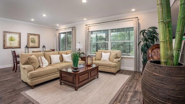 living room featuring dark hardwood / wood-style flooring and crown molding