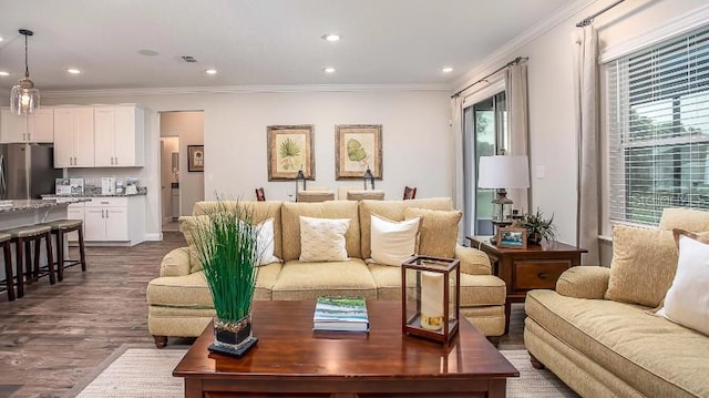 living room with crown molding and wood-type flooring