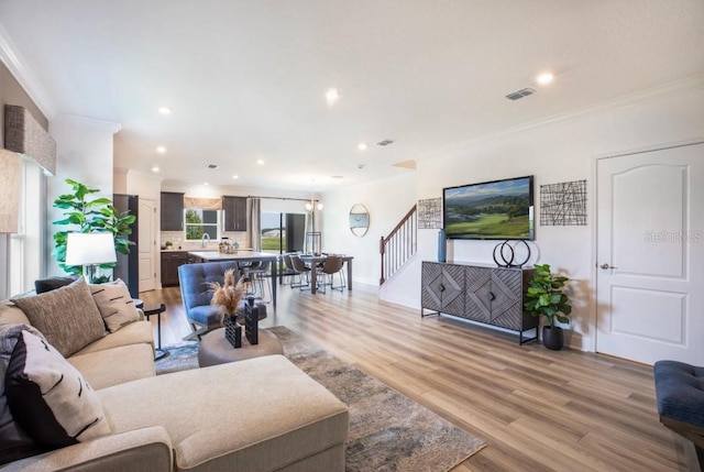 living room featuring ornamental molding, sink, and light wood-type flooring